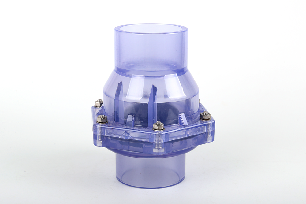 黄州透明翻板式止回阀